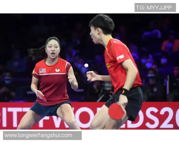 西安乒乓球队反击战术深度解析与实战应用探讨