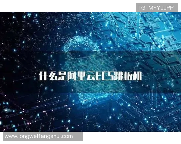 杭州羽毛球队运营分析：成功经验与面临挑战的全面探讨